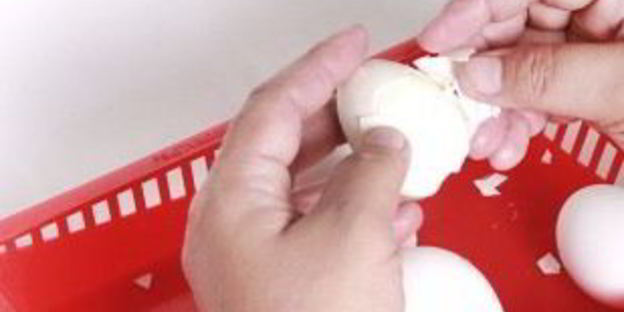 яйца, фаршированные рисом