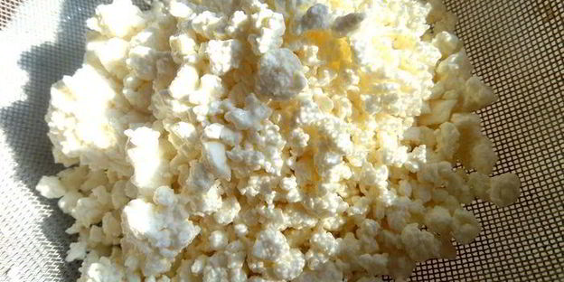 горячие творожные гренки