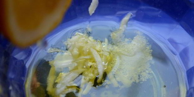 грибная икра