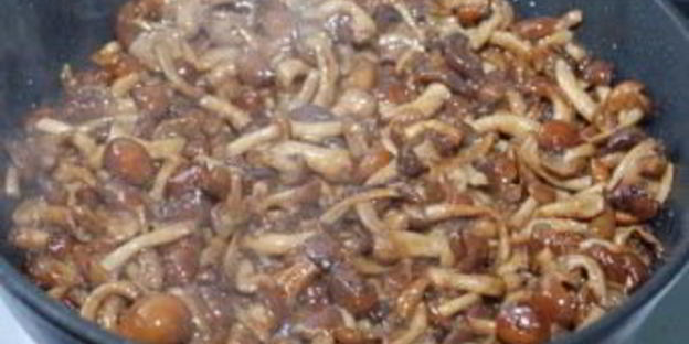 икра из опят с помидорами