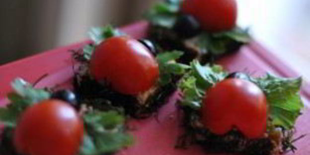 канапе божьи коровки