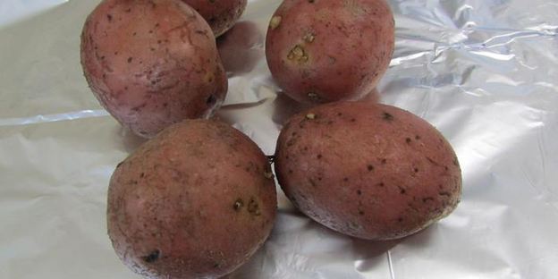 канапе праздничное