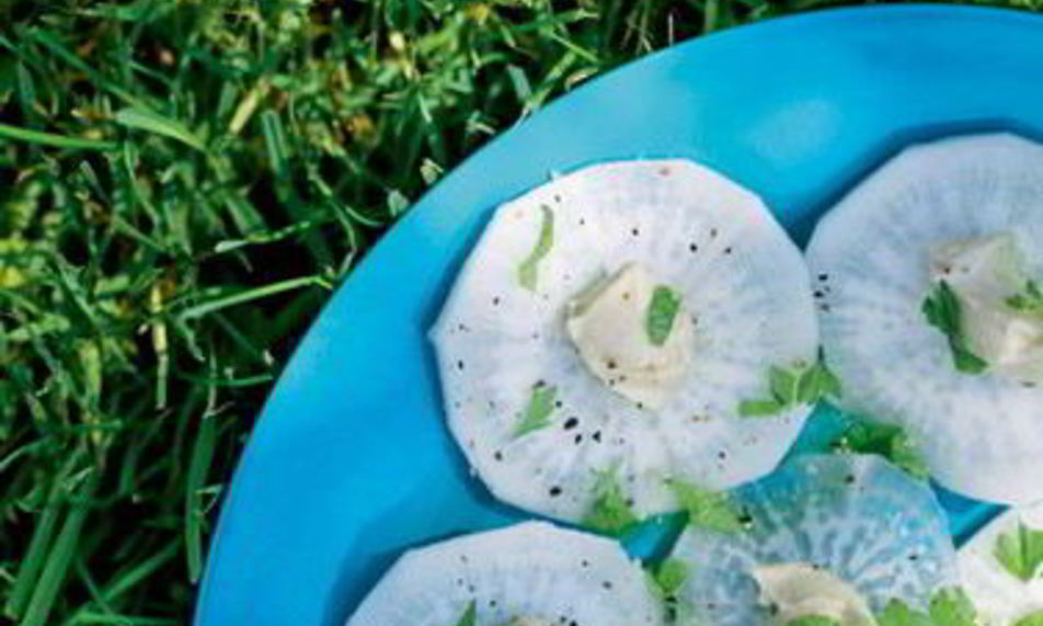 Рецепт карпачча из редьки с хумусом