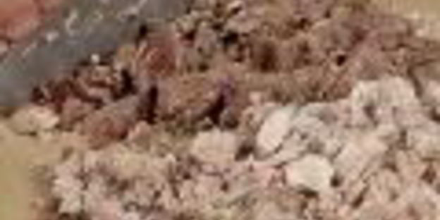 холодец из свинины и телятины