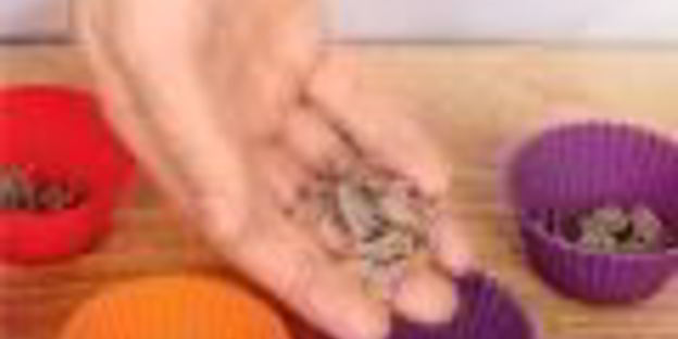 холодец с кровавой мэри