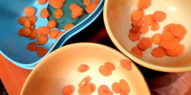 нежный холодец