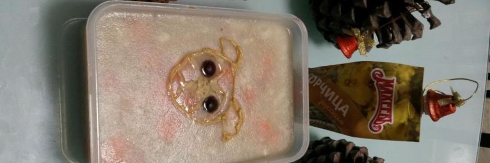 Новогодний холодец