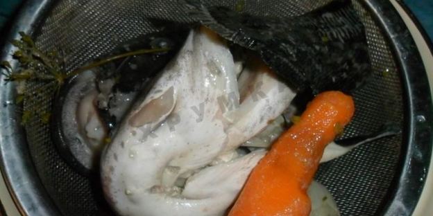 студень холодец из рыбы