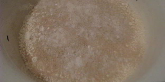 булочки для бургеров и хот-догов