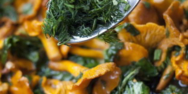 фриттата с лисичками