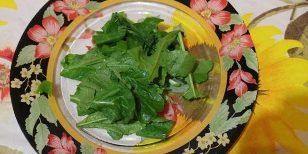 омлет с креветками и грибами на подушке из рукколы