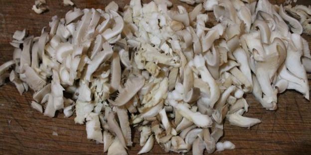 омлет с креветками и грибами на подушке из рукколы