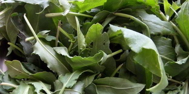 омлет со щавелем