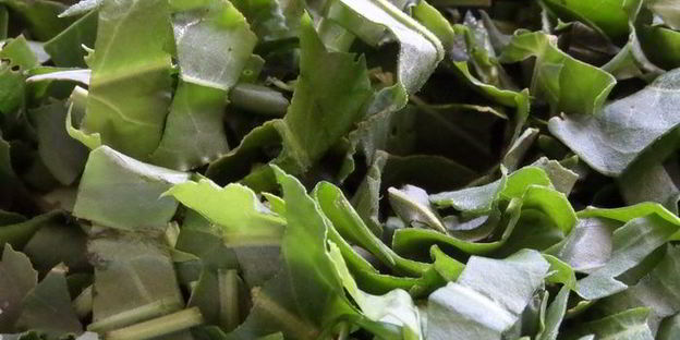 омлет со щавелем