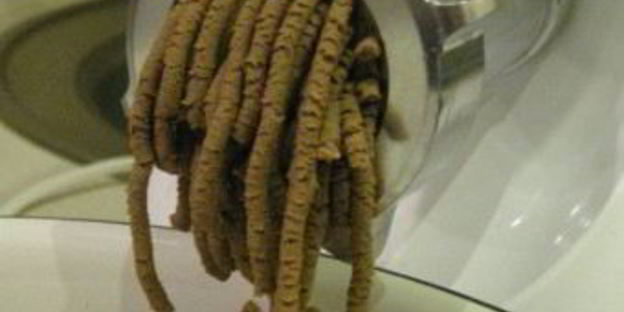 диетический паштет