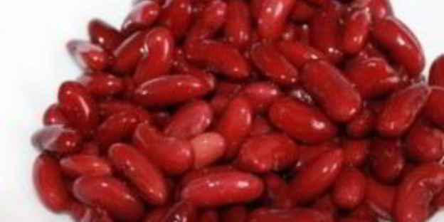 паштет из фасоли с грибами