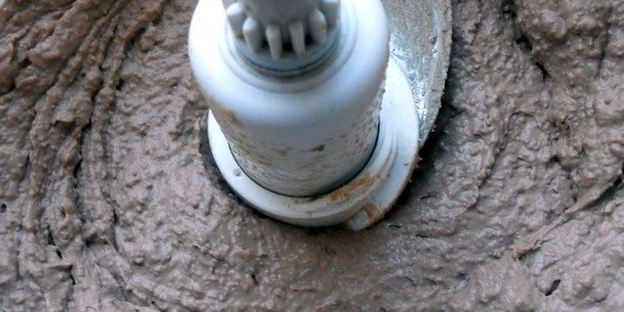 паштет из печени с черносливом