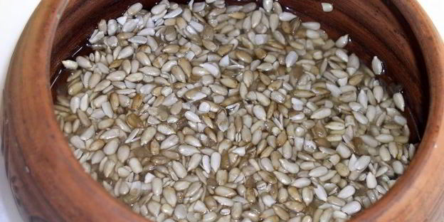 паштет из семян подсолнечника