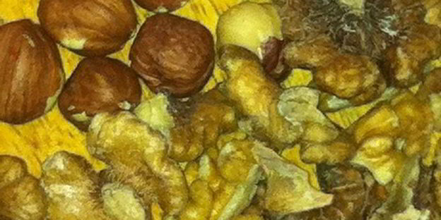 паштет необычный с яблоками и орехами