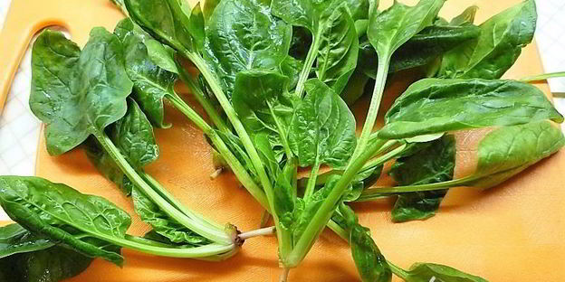 роллы из тыквы со шпинатом, копченостями и фисташковым майонезом