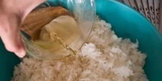 роллы с горбушей