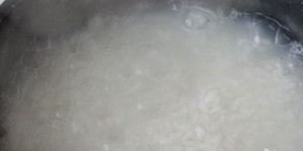 роллы с творожным сыром