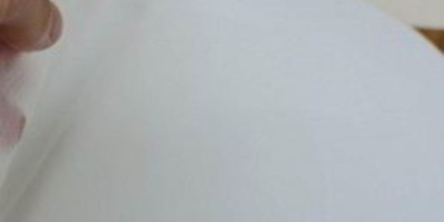 спринг-роллы с лососем