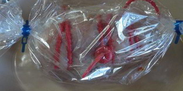 куриный рулет с паприкой