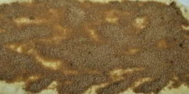 рулет с изюмом из дрожжевого теста