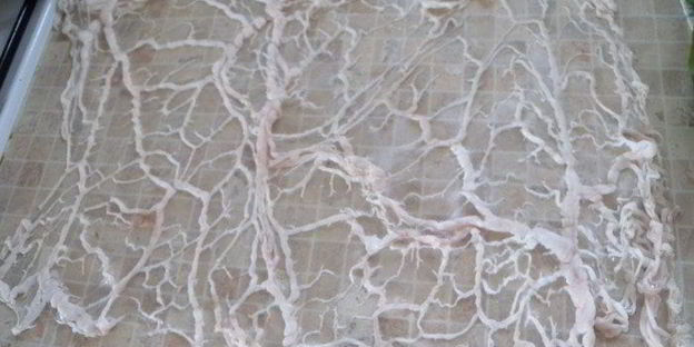 рулет в щавнате из куриного филе с рисом