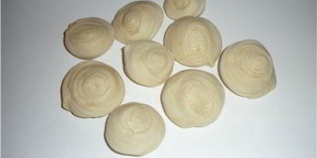 самса домашняя