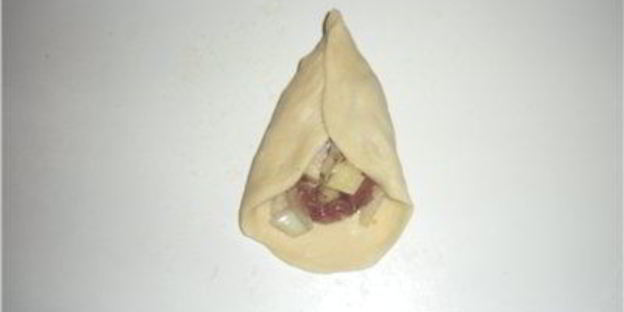 самса домашняя