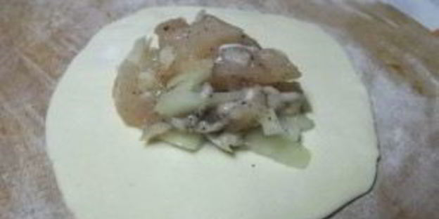 самса из курицы