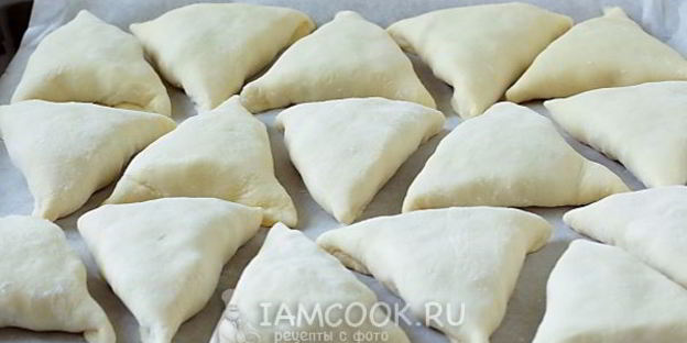 самса с курицей