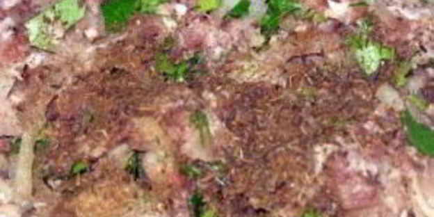 самса с зирой