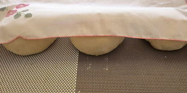 слоеная узбекская самса