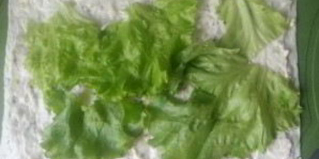 шаурма по-домашнему с мясом