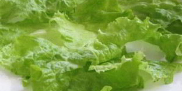 шаурма по-домашнему с мясом