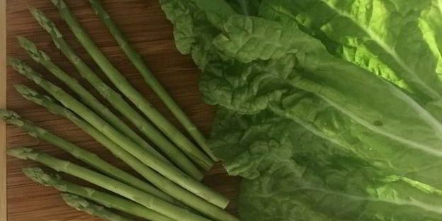 весенняя шаурма из пекинской капусты с индейкой