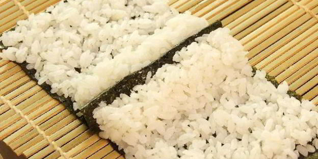 кадзари-суши божья коровка