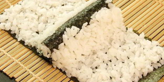 кадзари-суши божья коровка