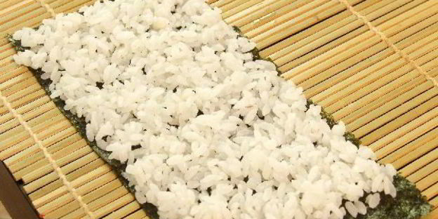 кадзари-суши божья коровка