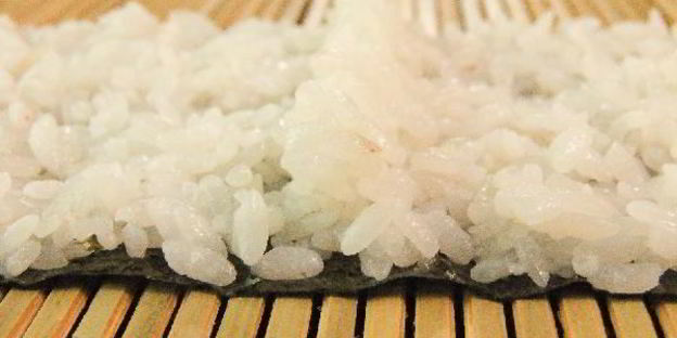 кадзари-суши божья коровка