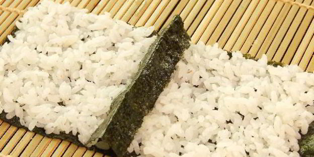 кадзари-суши божья коровка