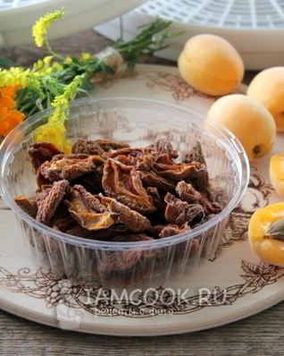 Сушка абрикосов в электросушилке