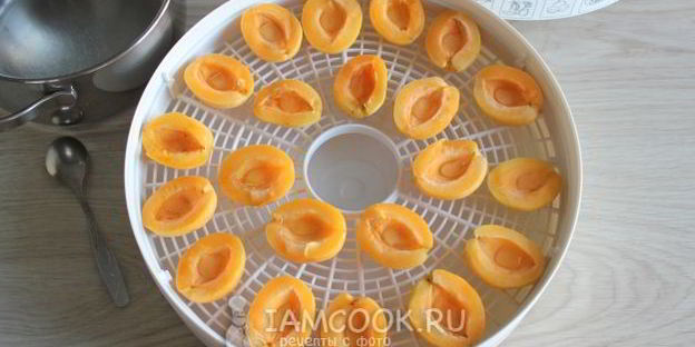 сушка абрикосов в электросушилке