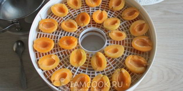 сушка абрикосов в электросушилке