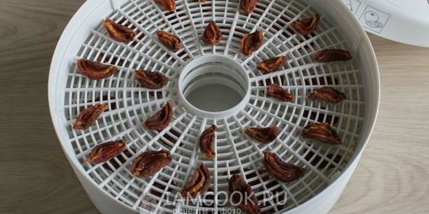 сушка абрикосов в электросушилке