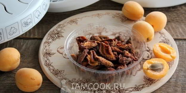 сушка абрикосов в электросушилке