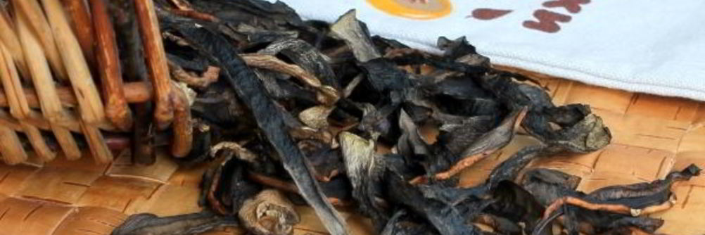 Сушка грибов в сушилке